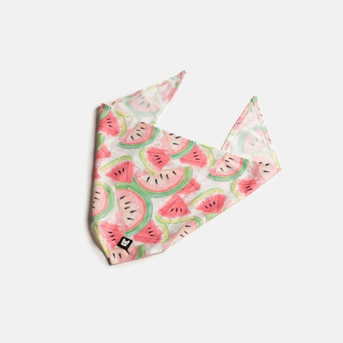 🍉 Watermelon Dog Bandana – Stylish & Fun Summer Accessory for Pets