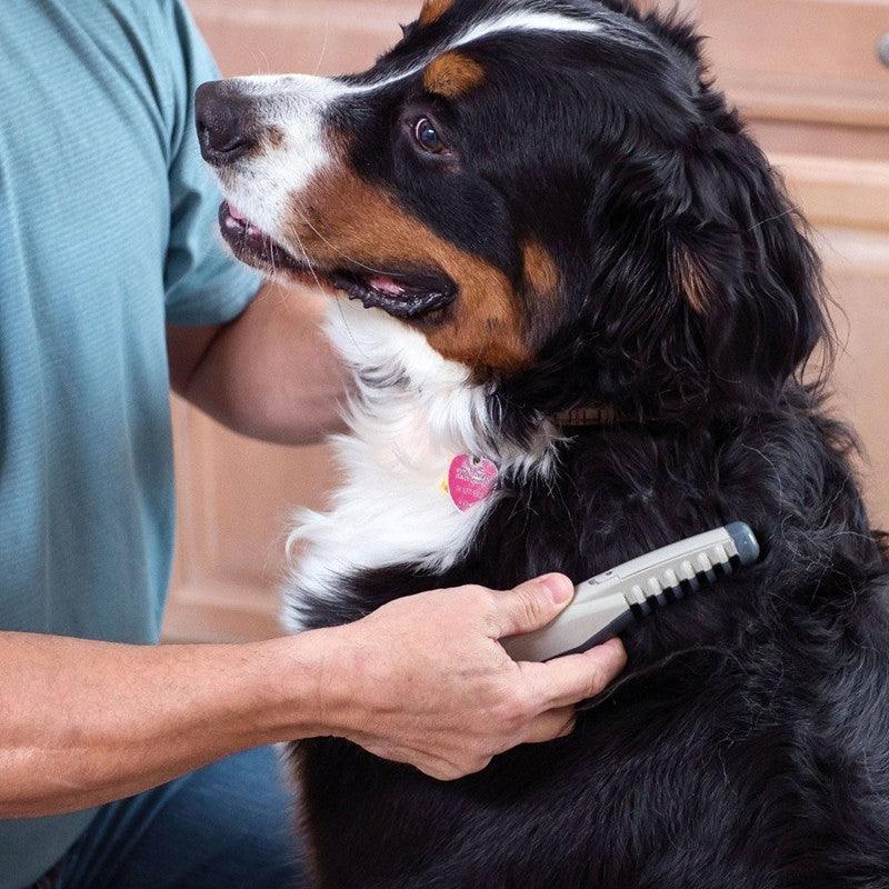 The Furmagic Grooming Tool