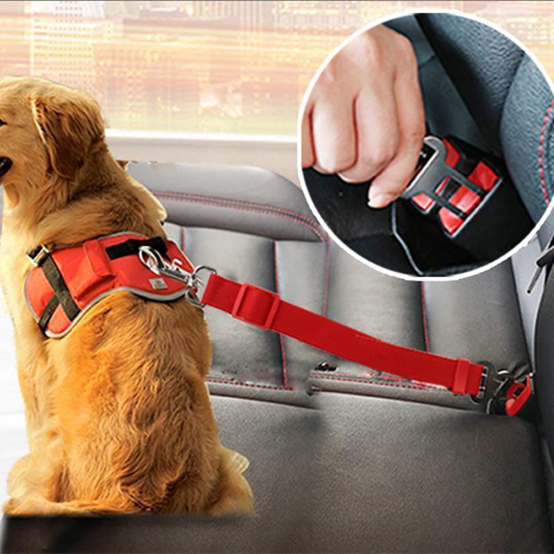 Telescopic Dog Traction Rope For Car Safety