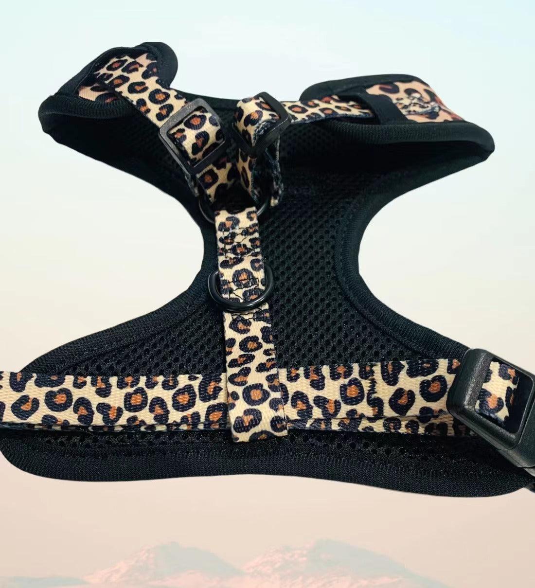BUNDLE - LEOPARD (3 PIECES)