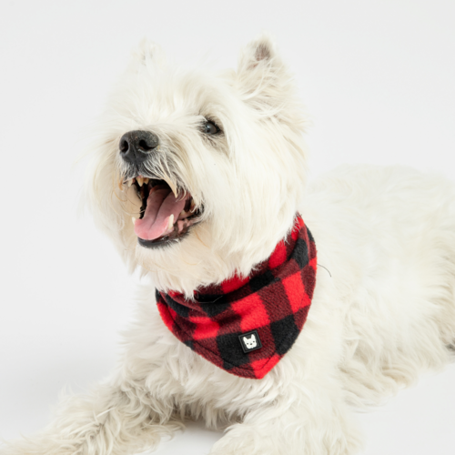 ❤️ Plaid Dog Bandana – Classic Red Checkered Scarf for Stylish Pups