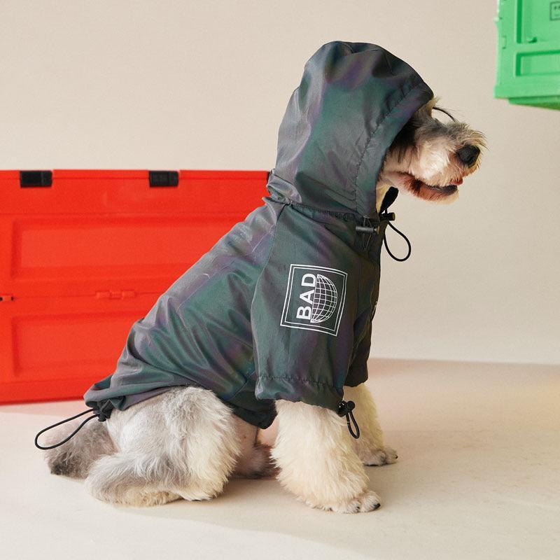 Autumn Symphony Dog Jacket