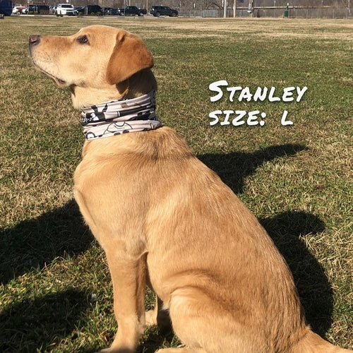 Caffeinated Canine Pup Scruff